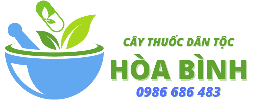 Cây Thuốc Dân Tộc Hòa Bình